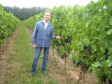 In den Weinbergen vom Weingut Schaurer