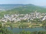 Panorama Blick ber die Mosel und Minheim<br />
<br />
Bildquelle: Weingut Kreuz-Bauer