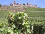 schne Gegend mit Weinbergen<br />
<br />
Bildquelle: Weingut Anton Hammes<br />