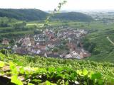 Impression vom Kaiserstuhl.<br />
<br />
Bildquelle: Weingut & Weinstube Probst