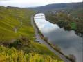 Moseltal - Weinberge